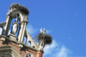 Le cicogne nel Castello di Racconigi